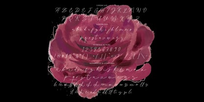 Candy Pieces Font Poster 9