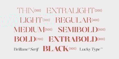 Brillane Serif Font Poster 4