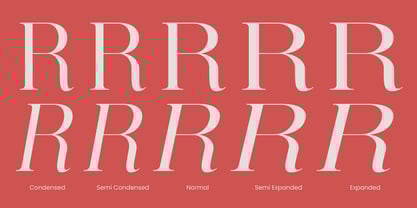 Brillane Serif Font Poster 8