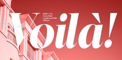 Brillane Serif Font Poster 6