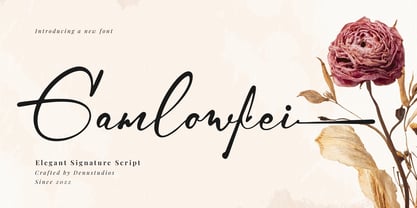 Gamlowfei Font Poster 1