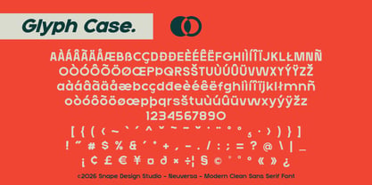 Neuversa Font Poster 5