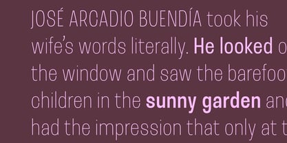 Ana Diego Font Poster 5