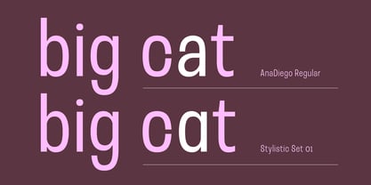 Ana Diego Font Poster 4