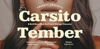 MC Carsito Tember Font Poster 1