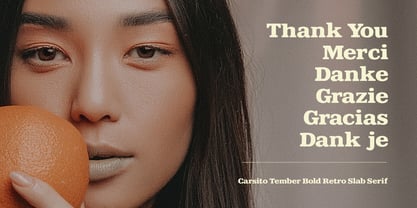 MC Carsito Tember Font Poster 7
