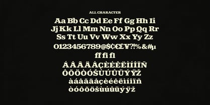 MC Carsito Tember Font Poster 6