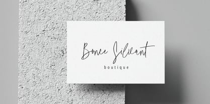 Boiled Peanuts Signature Font Poster 6