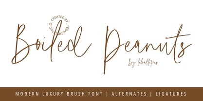 Boiled Peanuts Signature Font Poster 1