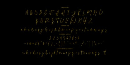 Boiled Peanuts Signature Font Poster 8