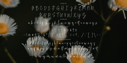 Dolce Mieleana Signature Font Poster 8