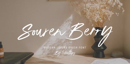 Souren Berry Signature Font Poster 1