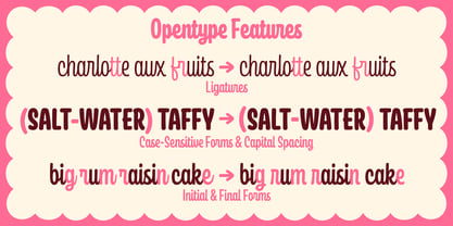 Frosting Script Font Poster 6