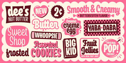 Frosting Script Font Poster 2