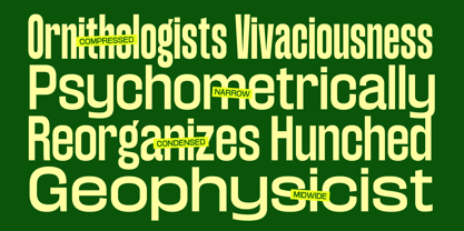 Konsumed Font Poster 8