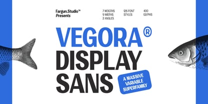 Vegora Font Poster 1