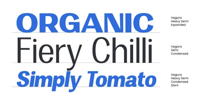 Vegora Font Poster 2