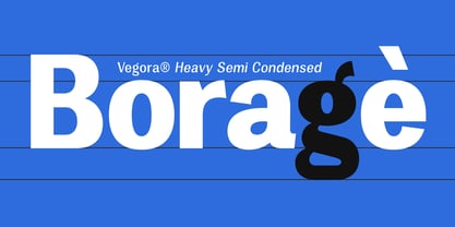 Vegora Font Poster 7