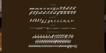 Snapshot Dreams Font Poster 7