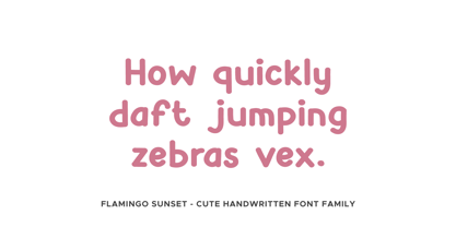 Flamingo Sunset Font Poster 6