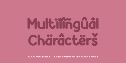 Flamingo Sunset Font Poster 4