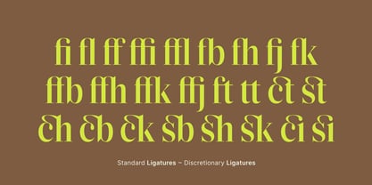 Reicha Variable Font Poster 12