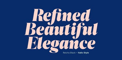 Reicha Variable Font Poster 5