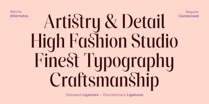 Reicha Variable Font Poster 9
