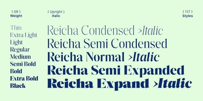 Reicha Variable Font Poster 4