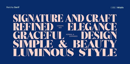 Reicha Variable Font Poster 14