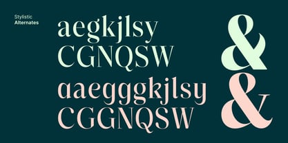 Reicha Variable Font Poster 10