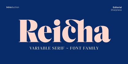 Reicha Variable Font Poster 1