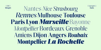 Reicha Variable Font Poster 3