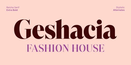Reicha Variable Font Poster 8