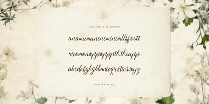 Serphina Lawliam Font Poster 12