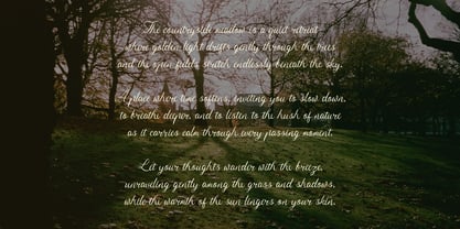 Serphina Lawliam Font Poster 4