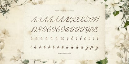 Serphina Lawliam Font Poster 11