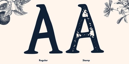 Wildrose Font Poster 6