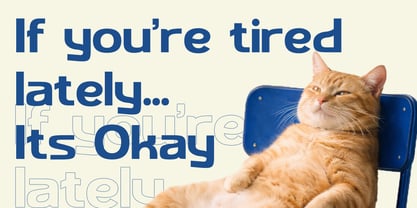 Bramo Font Poster 7