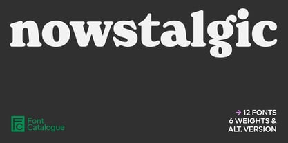 Nowstalgic Font Poster 1