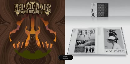 Amoral Font Poster 8