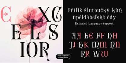 Amoral Font Poster 3