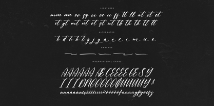 Claudia Martin Font Poster 8