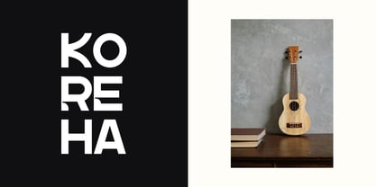 Torota Font Poster 5
