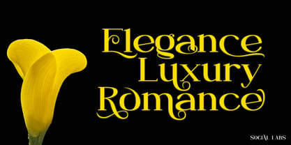 Neglia Font Poster 2