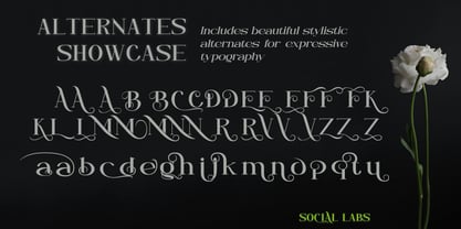 Neglia Font Poster 4