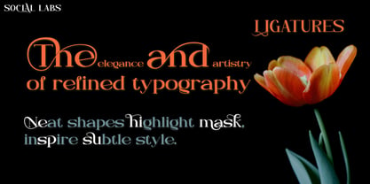 Neglia Font Poster 5