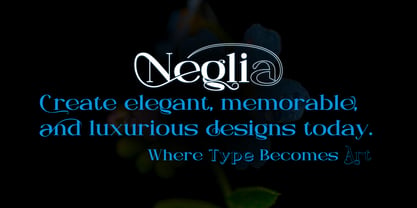 Neglia Font Poster 9