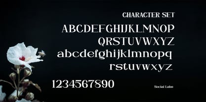 Neglia Font Poster 3