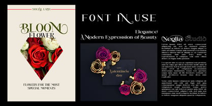 Neglia Font Poster 6